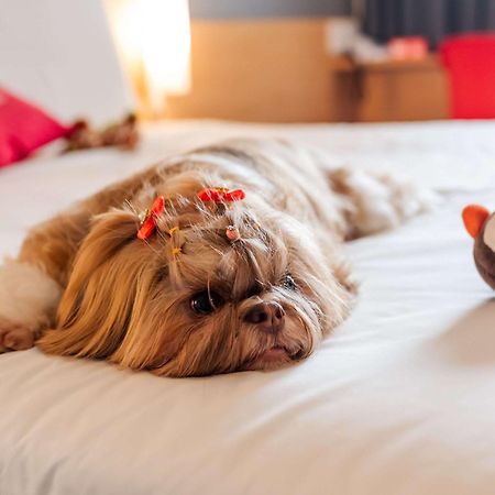 Ibis Joinville Zewnętrze zdjęcie