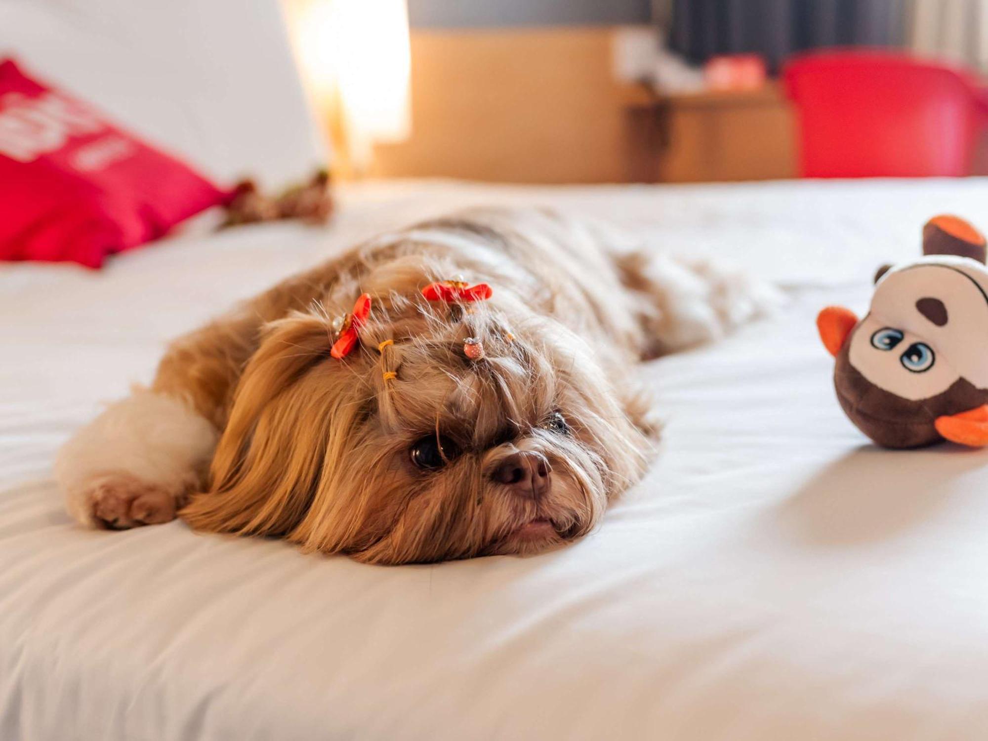 Ibis Joinville Zewnętrze zdjęcie
